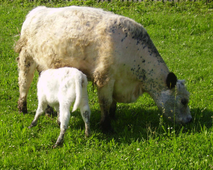 Mirjam und Franz Miedl