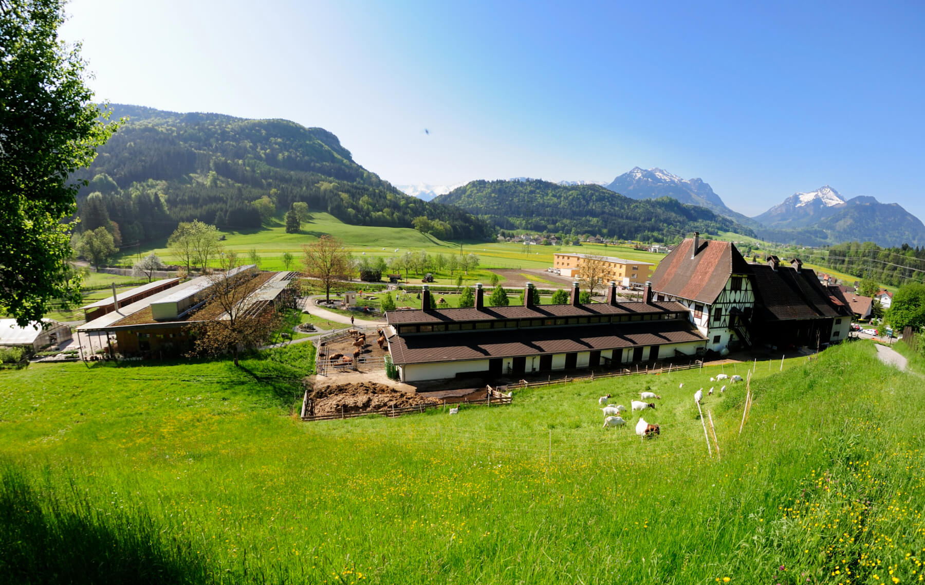 titelbild-schuleambauernhofbetrieb