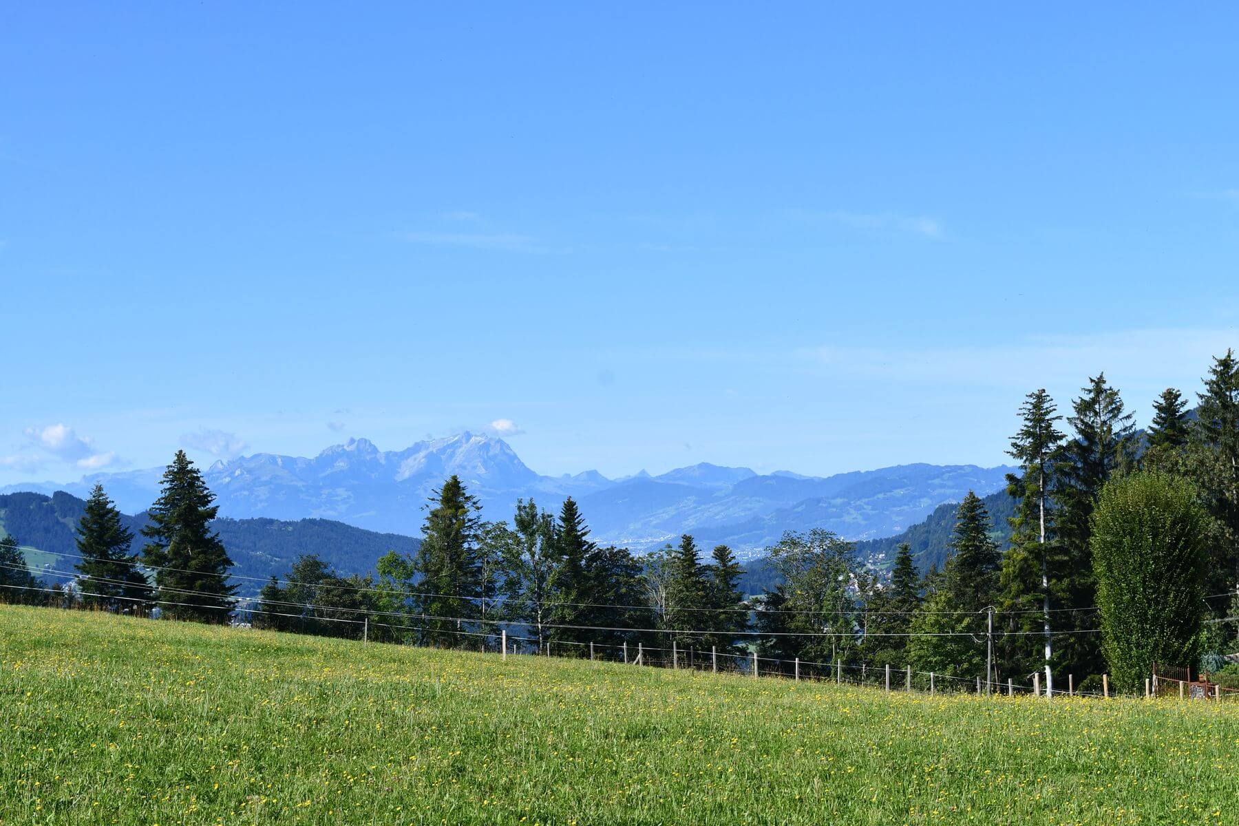 titelbild-schuleambauernhofbetrieb