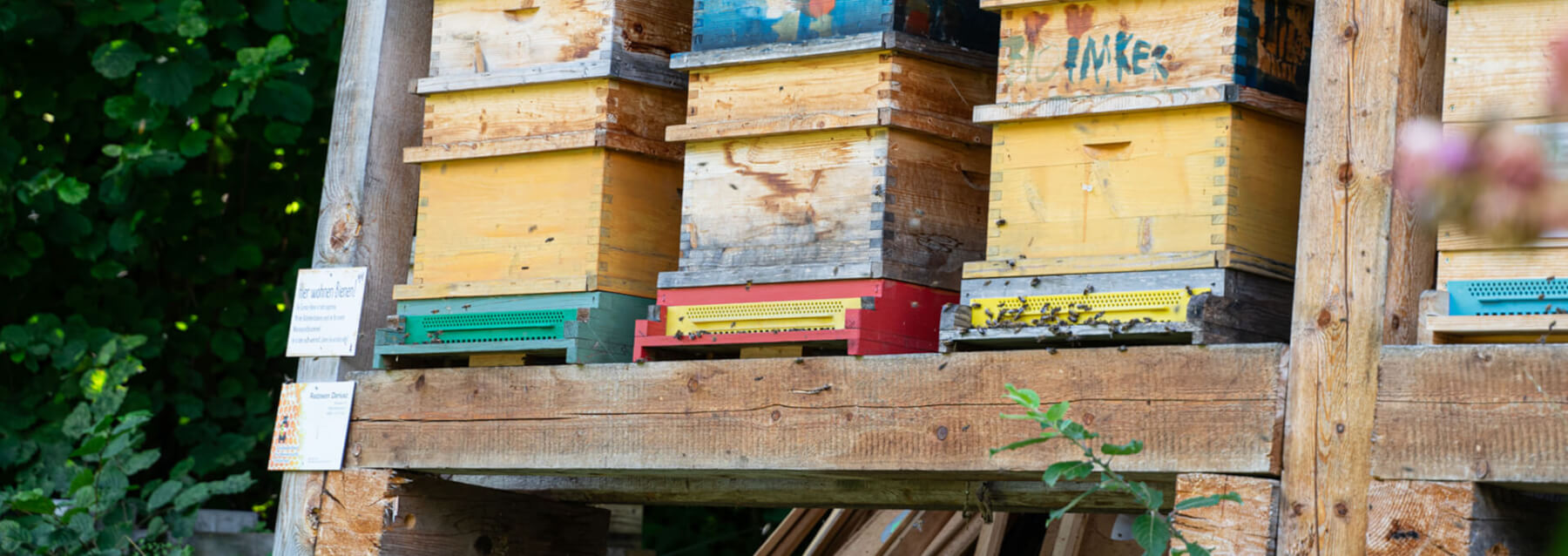 titelbild-schuleambauernhofbetrieb