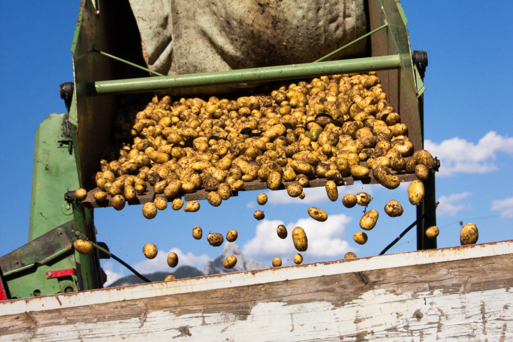 titelbild-schuleambauernhofbetrieb